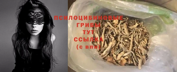 скорость Новозыбков