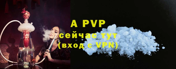 скорость Новозыбков