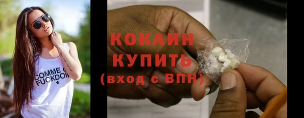 скорость Новозыбков