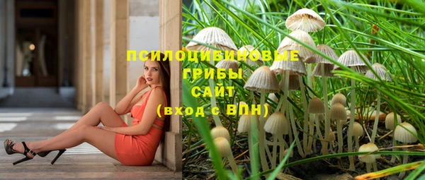 эйфоретик Новодвинск