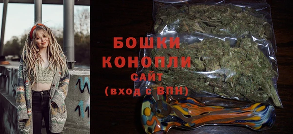 PSILOCYBIN Вяземский