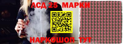 гашик Гатчина