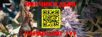 гашик Гатчина