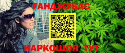 гашик Гатчина