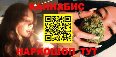 шишки Гай