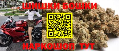 шишки Гай