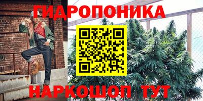 гашик Гатчина