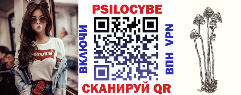 Псилоцибиновые грибы Psilocybe  закладка  Людиново 