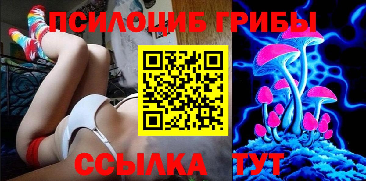 Людиново  Галлюциногенные грибы прущие грибы  Галлюциногенные грибы Cubensis  Вход с VPN 